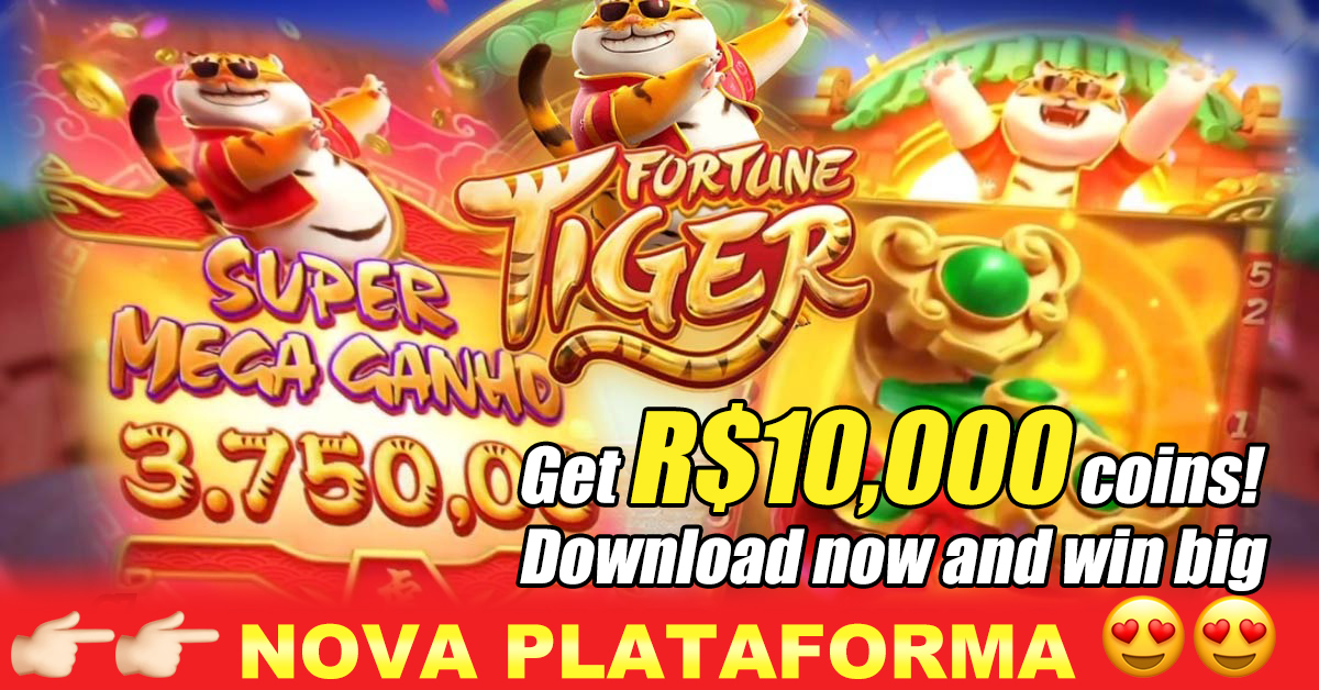 488bet apostas online cassino jogos grátis